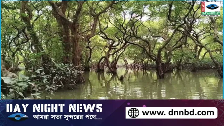 সিলেট, গোয়াইনঘাট, রাতারগুল, হারাচ্ছে, পর্যটন, আকর্ষণ,  কমছে, পর্যটক,